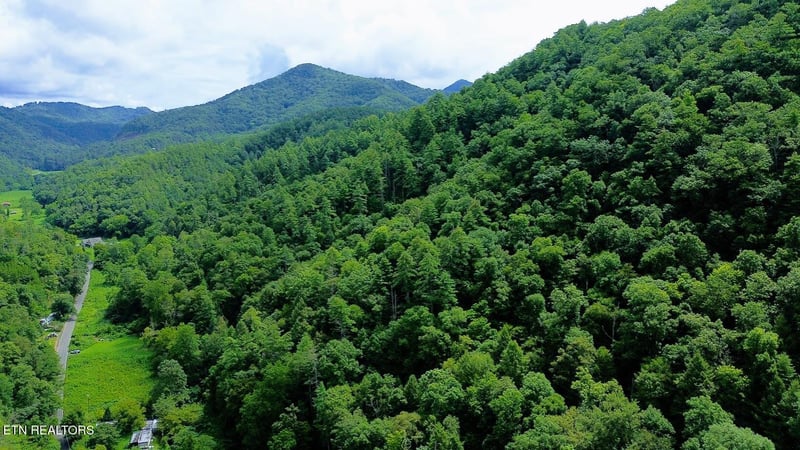 0 Carrs Creek 14 Acres Rd, Townsend, TN 37882