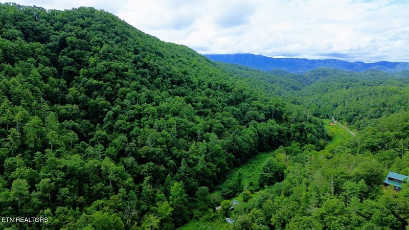 0 Carrs Creek 14 Acres Rd, Townsend, TN 37882
