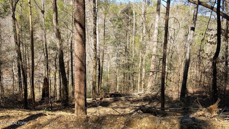 0 Carrs Creek Rd, Townsend, TN 37882