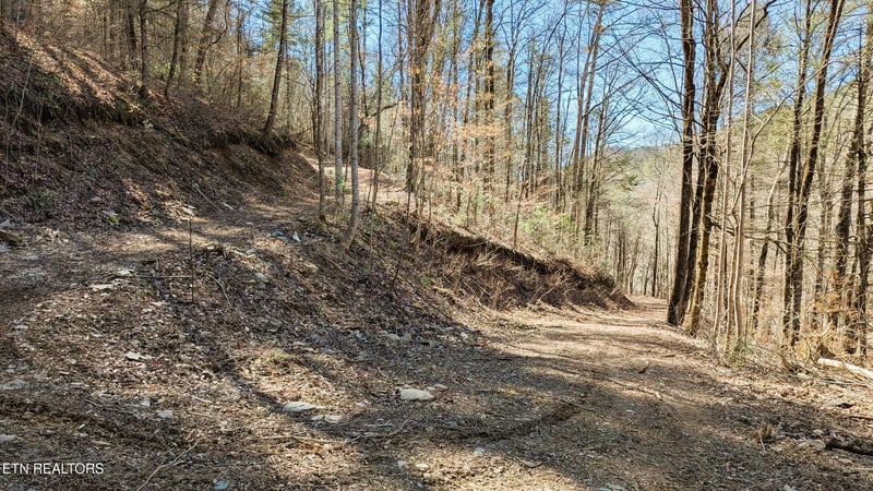 0 Carrs Creek Rd, Townsend, TN 37882