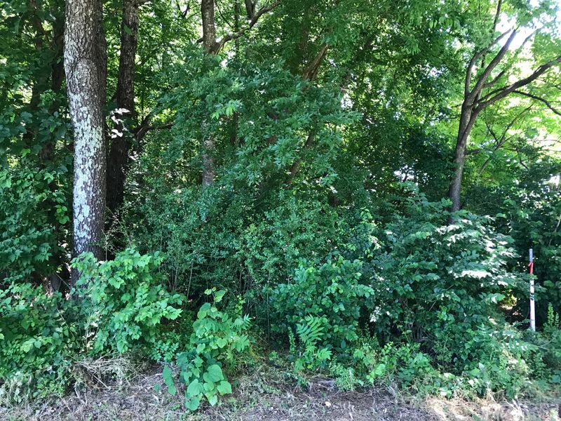 0 Carson Rd, Madisonville, TN 37354