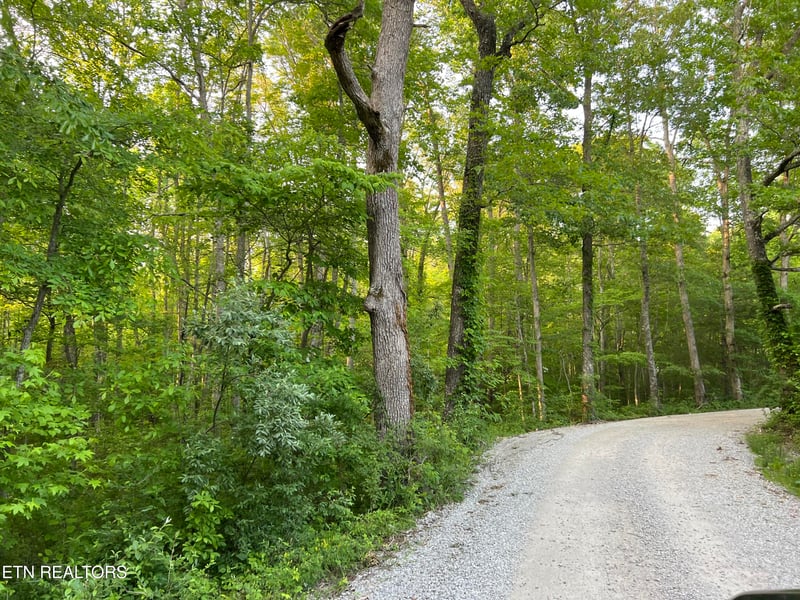 0 Carson Town Rd, Sunbright, TN 37872