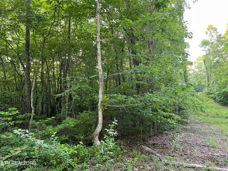 0 Carson Town Rd, Sunbright, TN 37872