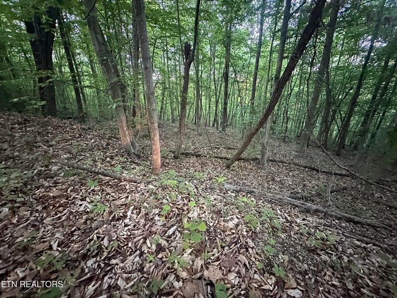 0 Cassies Xing, Speedwell, TN 37870