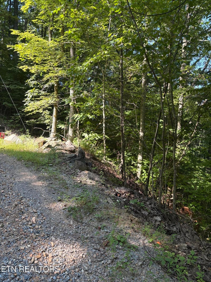 0 Castle Rise Way, Sevierville, TN 37862