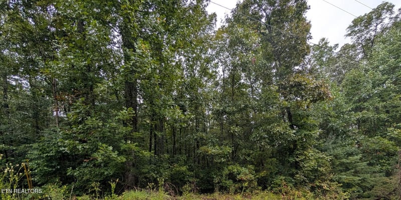 0 Catoosa Drive Lot 27, Lancing, TN 37770