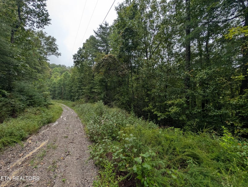 0 Catoosa Drive Lot 27, Lancing, TN 37770