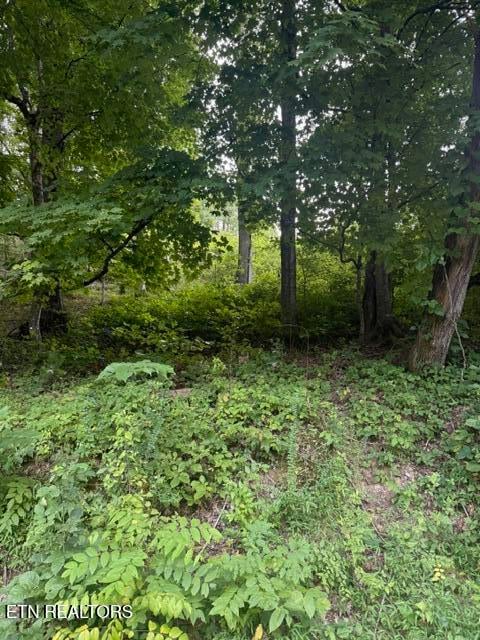 0 Cave Creek Rd Off Rd, Loudon, TN 37774