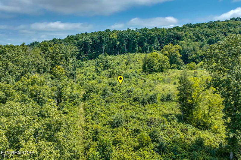0 Cave Creek Rd Off Rd, Loudon, TN 37774