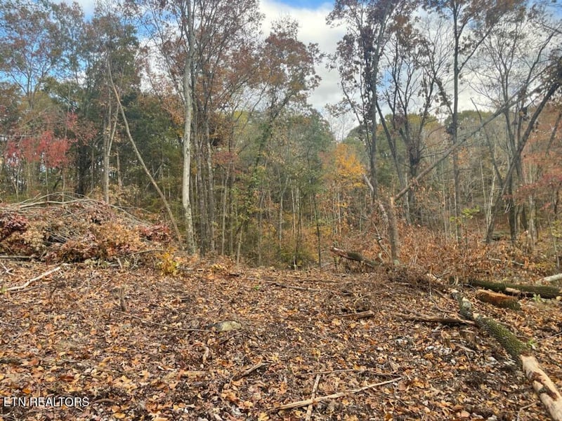 0 Cedar Grove Rd, Loudon, TN 37774