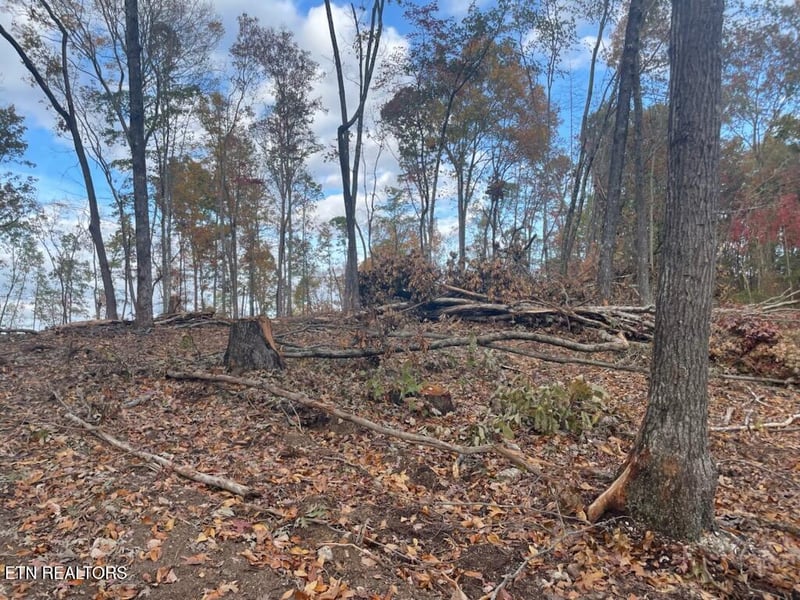 0 Cedar Grove Rd, Loudon, TN 37774