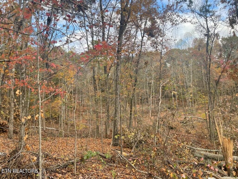 0 Cedar Grove Rd, Loudon, TN 37774