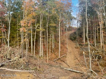 0 Cedar Grove Rd, Loudon, TN 37774