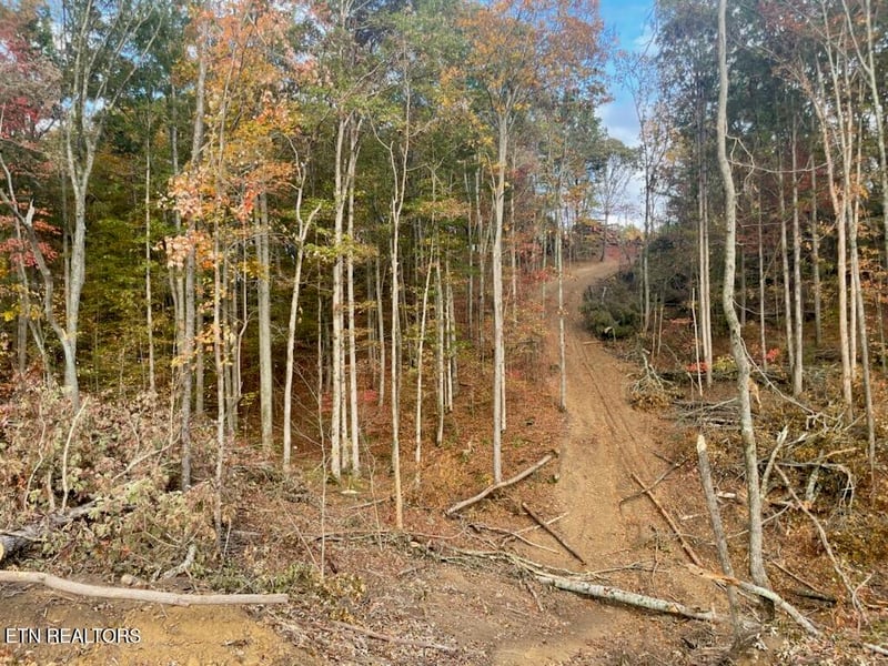 0 Cedar Grove Rd, Loudon, TN 37774