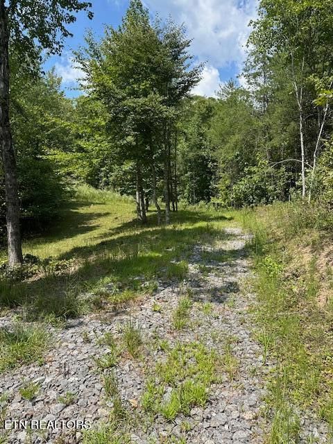 0 Cedar Rock, Rutledge, TN 37861