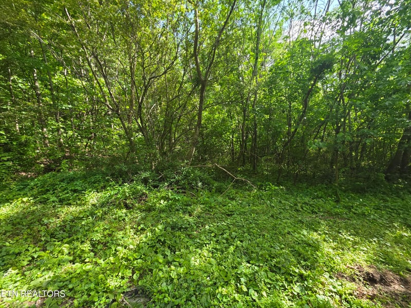 0 Cemetery Rd, Caryville, TN 37714