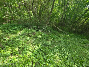0 Cemetery Rd, Caryville, TN 37714