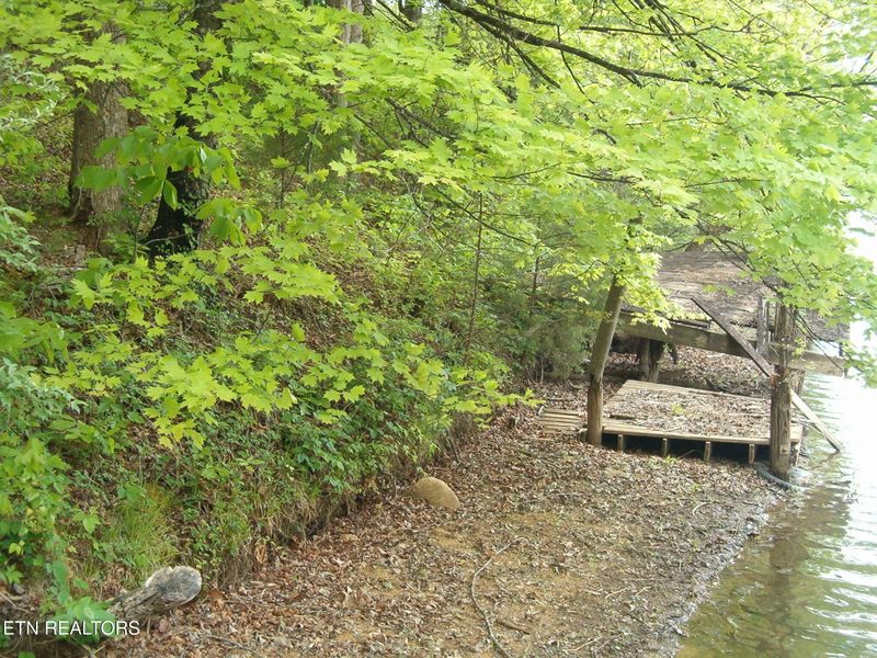 0 Centers Patton Rd, Harriman, TN 37748