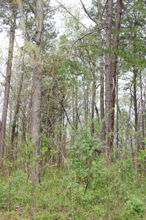 0 Chahyga Way, Loudon, TN 37774