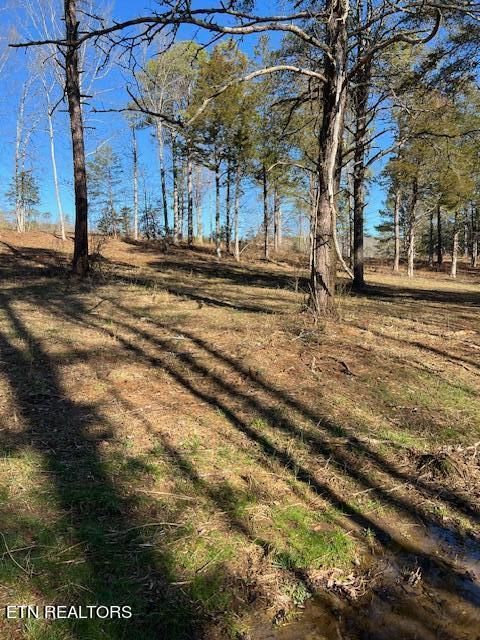 0 Chamberlain Cove Rd, Kingston, TN 37763