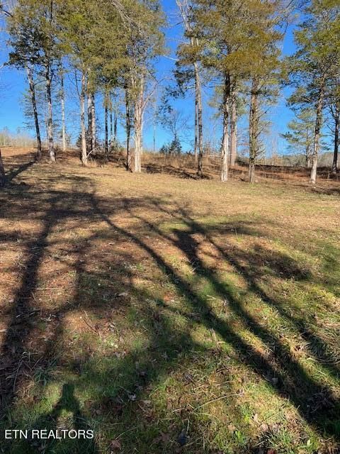 0 Chamberlain Cove Rd, Kingston, TN 37763