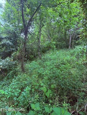 0 Chambers Rd, Jacksboro, TN 37757