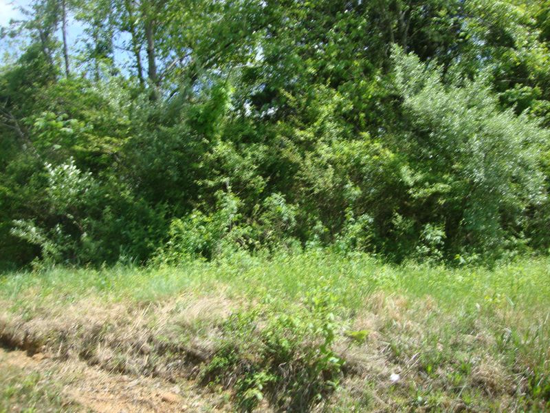 0 Chanusi Way, Loudon, TN 37774