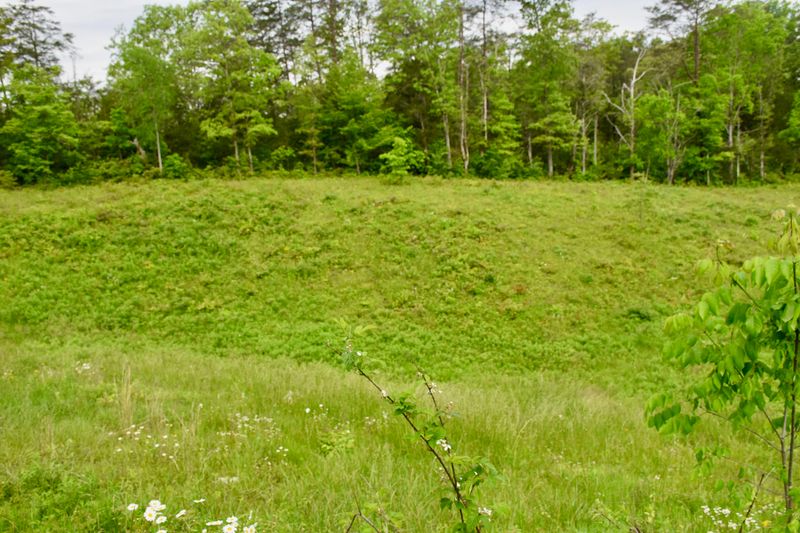 0 Chapman Hwy, Sevierville, TN 37862