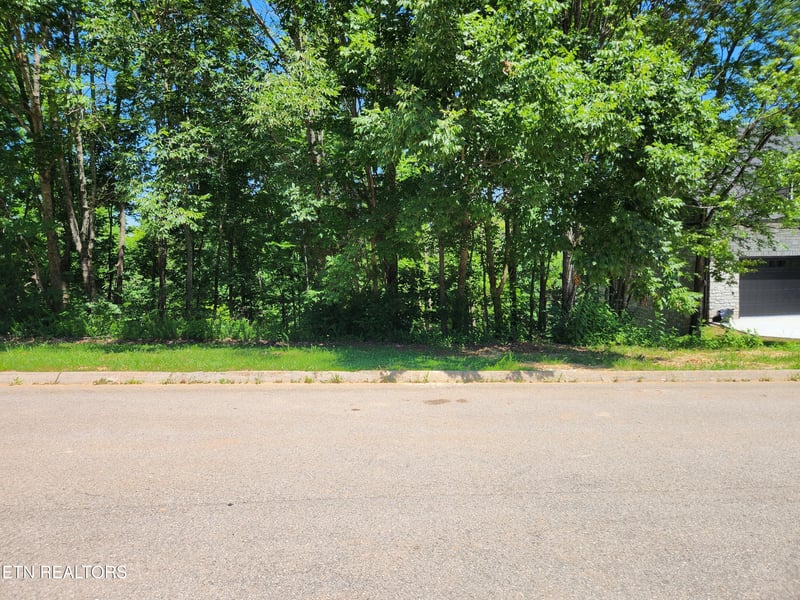0 Chapman View Dr, Seymour, TN 37865