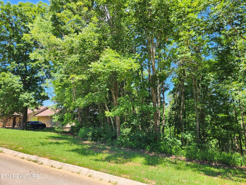 0 Chapman View Dr, Seymour, TN 37865