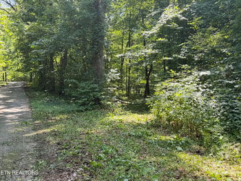0 Charles Young Rd, Walland, TN 37886