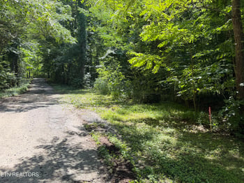 0 Charles Young Rd, Walland, TN 37886