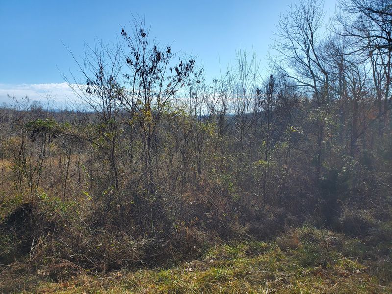 0 Cheoah Tr, Madisonville, TN 37354