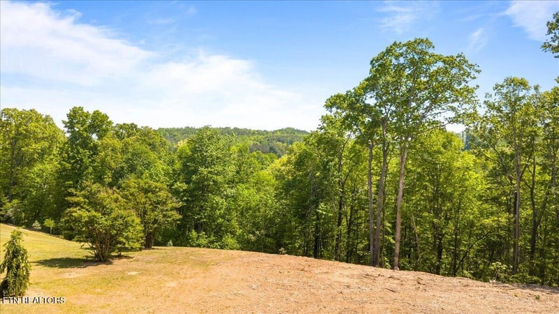 0 Cheri Ln, Caryville, TN 37714