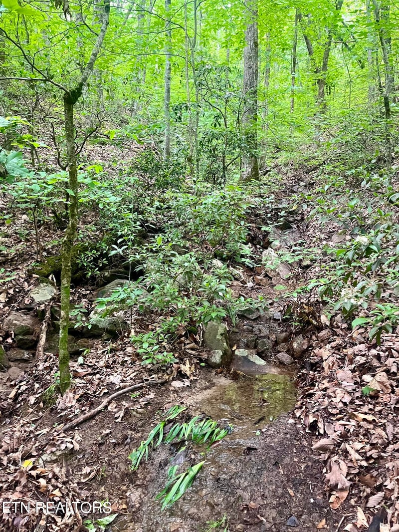 0 Cherokee Cir, Tallassee, TN 37878