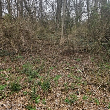 0 Cherokee Tr, Seymour, TN 37865