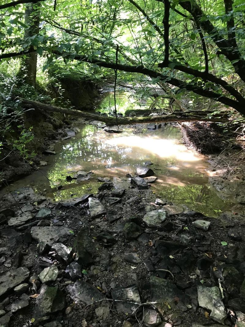 0 Cherry Fork, Helenwood, TN 37755