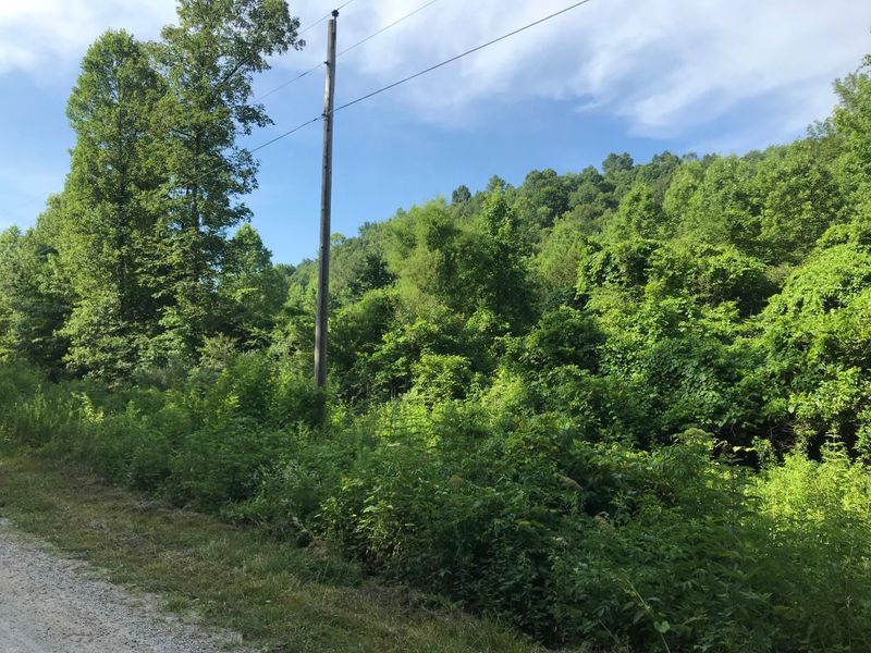 0 Cherry Fork, Helenwood, TN 37755