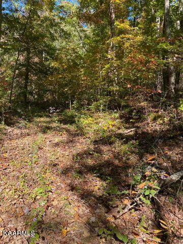 0 Chestnut Grove Rd, Maynardville, TN 37807