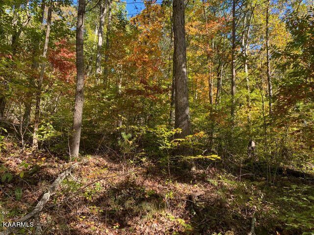 0 Chestnut Grove Rd, Maynardville, TN 37807