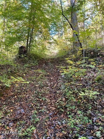 0 Chestnut Grove Rd, Maynardville, TN 37807