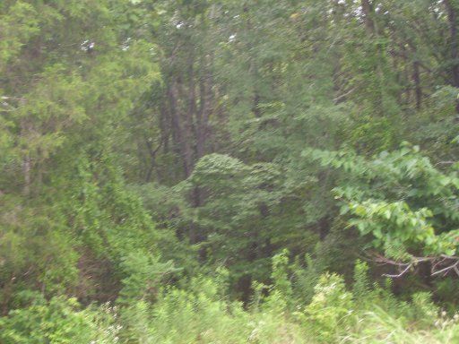 0 Chestnut Hill Dr, Athens, TN 37303