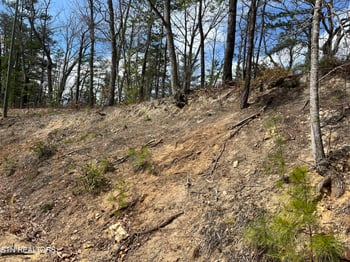 0 Chestnut Ridge Ct, Sevierville, TN 37876