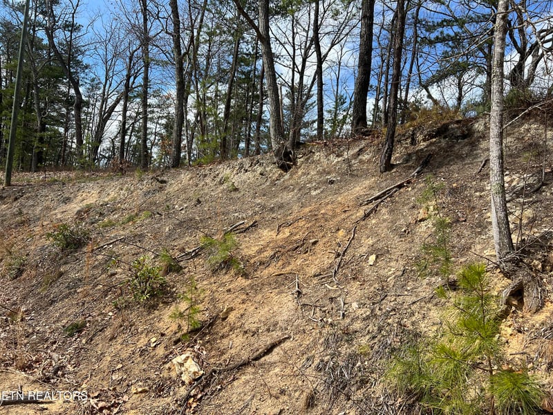0 Chestnut Ridge Ct, Sevierville, TN 37876