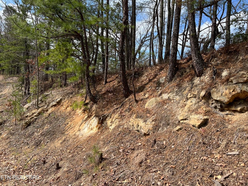 0 Chestnut Ridge Ct, Sevierville, TN 37876