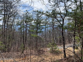 0 Chestnut Ridge Ct, Sevierville, TN 37876