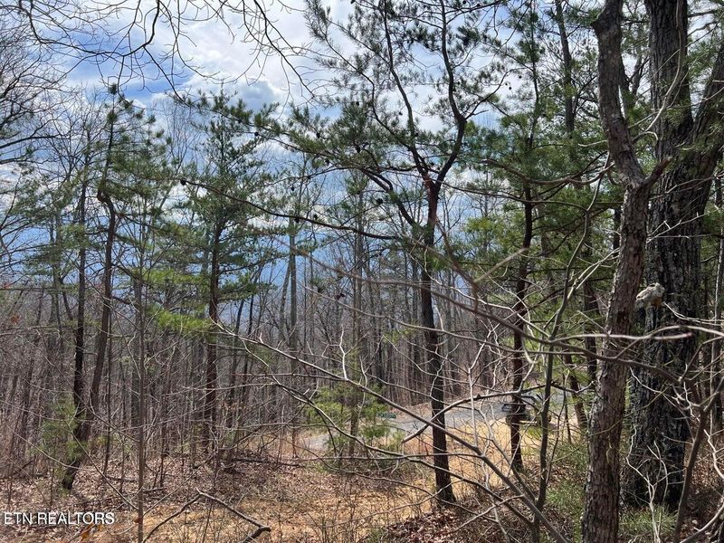 0 Chestnut Ridge Ct, Sevierville, TN 37876