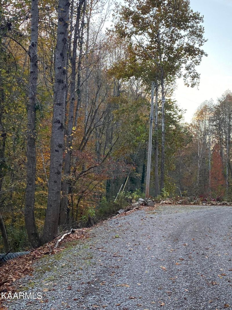 0 Chestnut Ridge Rd Lot 19, Walland, TN 37886