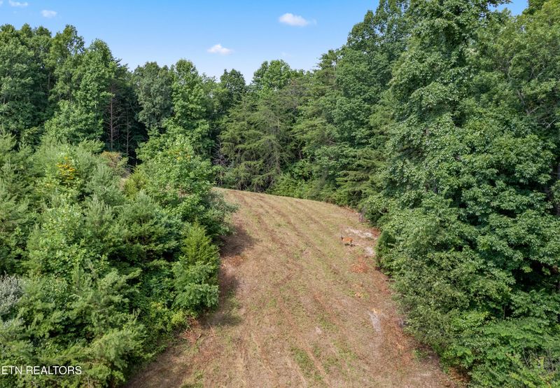 0 Chestnut Stump Rd, Lafollette, TN 37766