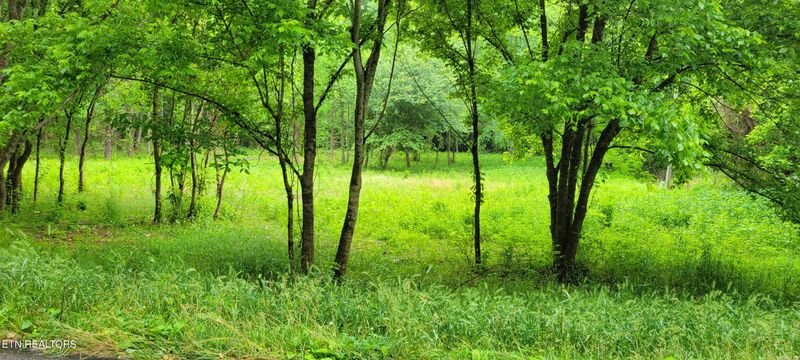 0 Chestnut Valley Rd, Vonore, TN 37885